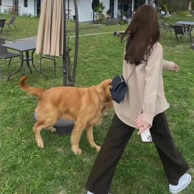 马戏女郎 海报