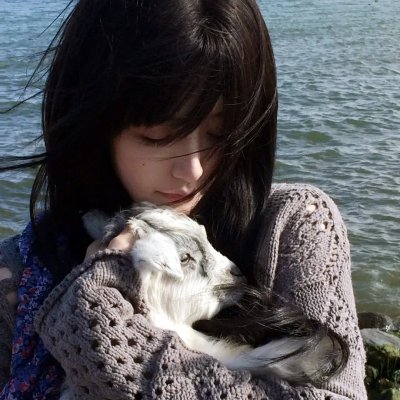愉悦的音乐专辑 海报
